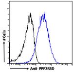 PPP2R5D Antibody in Flow Cytometry (Flow)