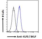 KLF3 Antibody in Flow Cytometry (Flow)