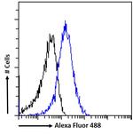 HLTF Antibody in Flow Cytometry (Flow)