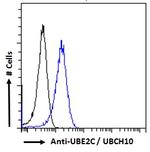 UBE2C Antibody in Flow Cytometry (Flow)