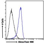 MDA5 Antibody in Flow Cytometry (Flow)