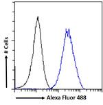 KPNA2 Antibody in Flow Cytometry (Flow)