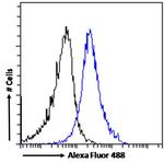 DISP1 Antibody in Flow Cytometry (Flow)