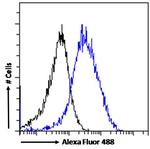 FLAP Antibody in Flow Cytometry (Flow)