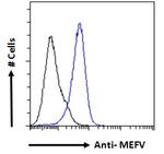 MEFV Antibody in Flow Cytometry (Flow)