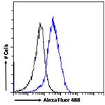 PCK2 Antibody in Flow Cytometry (Flow)