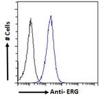 ERG Antibody in Flow Cytometry (Flow)