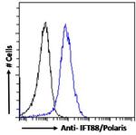 IFT88 Antibody in Flow Cytometry (Flow)