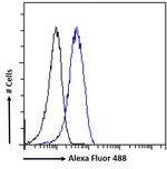 Leptin Receptor Antibody in Flow Cytometry (Flow)