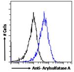 Arylsulfatase A Antibody in Flow Cytometry (Flow)