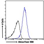 PRPF31 Antibody in Flow Cytometry (Flow)