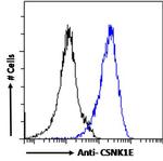 CK1 epsilon Antibody in Flow Cytometry (Flow)