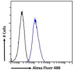 PAX6 Antibody in Flow Cytometry (Flow)