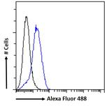 TREM2 Antibody in Flow Cytometry (Flow)