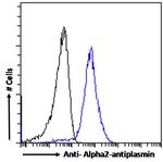 SERPINF2 Antibody in Flow Cytometry (Flow)