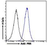 TSPO Antibody in Flow Cytometry (Flow)