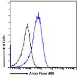 alpha Dystroglycan Antibody in Flow Cytometry (Flow)