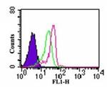 TLR7 Antibody in Flow Cytometry (Flow)