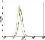 TLR7 Antibody in Flow Cytometry (Flow)