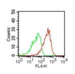 HMGB1 Antibody in Flow Cytometry (Flow)