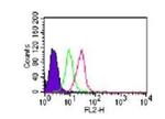 TLR7 Antibody in Flow Cytometry (Flow)