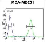 AMACR Antibody in Flow Cytometry (Flow)