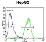 CHPT1 Antibody in Flow Cytometry (Flow)