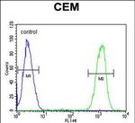 IKAROS Antibody in Flow Cytometry (Flow)