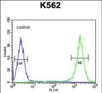 TFAM Antibody in Flow Cytometry (Flow)