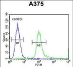 SPDYE3 Antibody in Flow Cytometry (Flow)