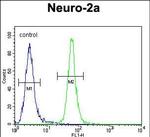 TMEM65 Antibody in Flow Cytometry (Flow)