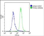 METTL4 Antibody in Flow Cytometry (Flow)