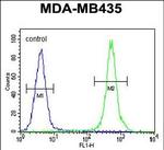 Haptoglobin Antibody in Flow Cytometry (Flow)