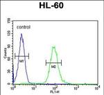 GM-CSF Antibody in Flow Cytometry (Flow)