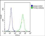 Folate Receptor alpha Antibody in Flow Cytometry (Flow)