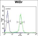 BEX1 Antibody in Flow Cytometry (Flow)