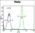 HYAL2 Antibody in Flow Cytometry (Flow)