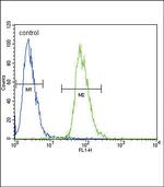 ETV5 Antibody in Flow Cytometry (Flow)