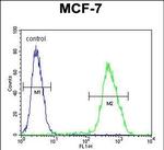 LMO4 Antibody in Flow Cytometry (Flow)