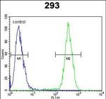 CLPX Antibody in Flow Cytometry (Flow)