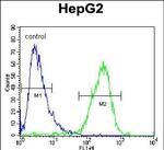 ZC3H12A Antibody in Flow Cytometry (Flow)