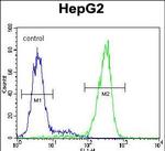 NUDT15 Antibody in Flow Cytometry (Flow)