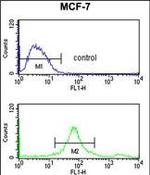 SUMO1 Antibody in Flow Cytometry (Flow)