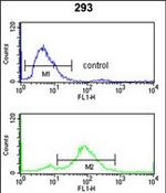 TNPO1 Antibody in Flow Cytometry (Flow)