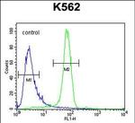 EGFR Antibody in Flow Cytometry (Flow)