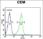 ITGB1BP3 Antibody in Flow Cytometry (Flow)