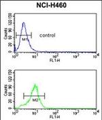 SMPD2 Antibody in Flow Cytometry (Flow)