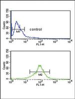 GOT1 Antibody in Flow Cytometry (Flow)