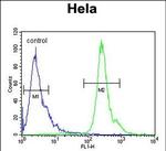 PNPLA8 Antibody in Flow Cytometry (Flow)