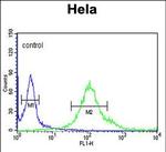 SYTL2 Antibody in Flow Cytometry (Flow)